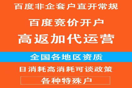 SEM主管实战：数据分析与策略调整